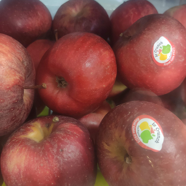 Táo đỏ Royal Gala